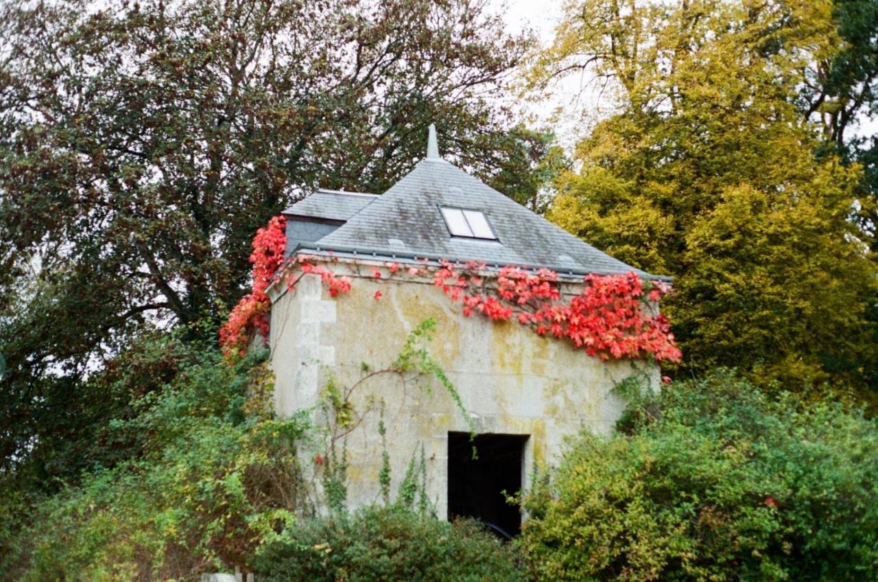 Chateau De La Huberdiere Nazelles-Negron Esterno foto
