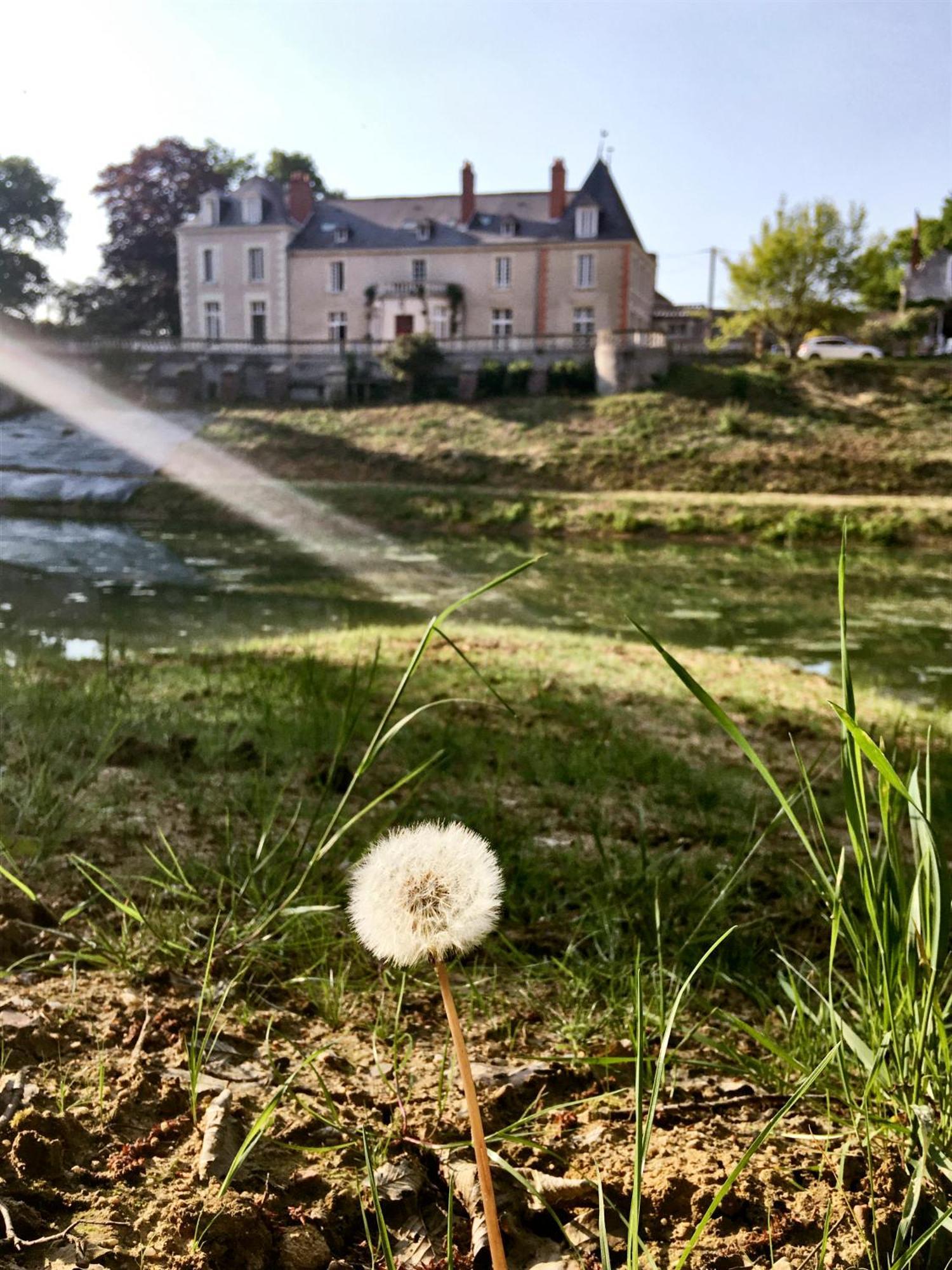 Chateau De La Huberdiere Nazelles-Negron Esterno foto