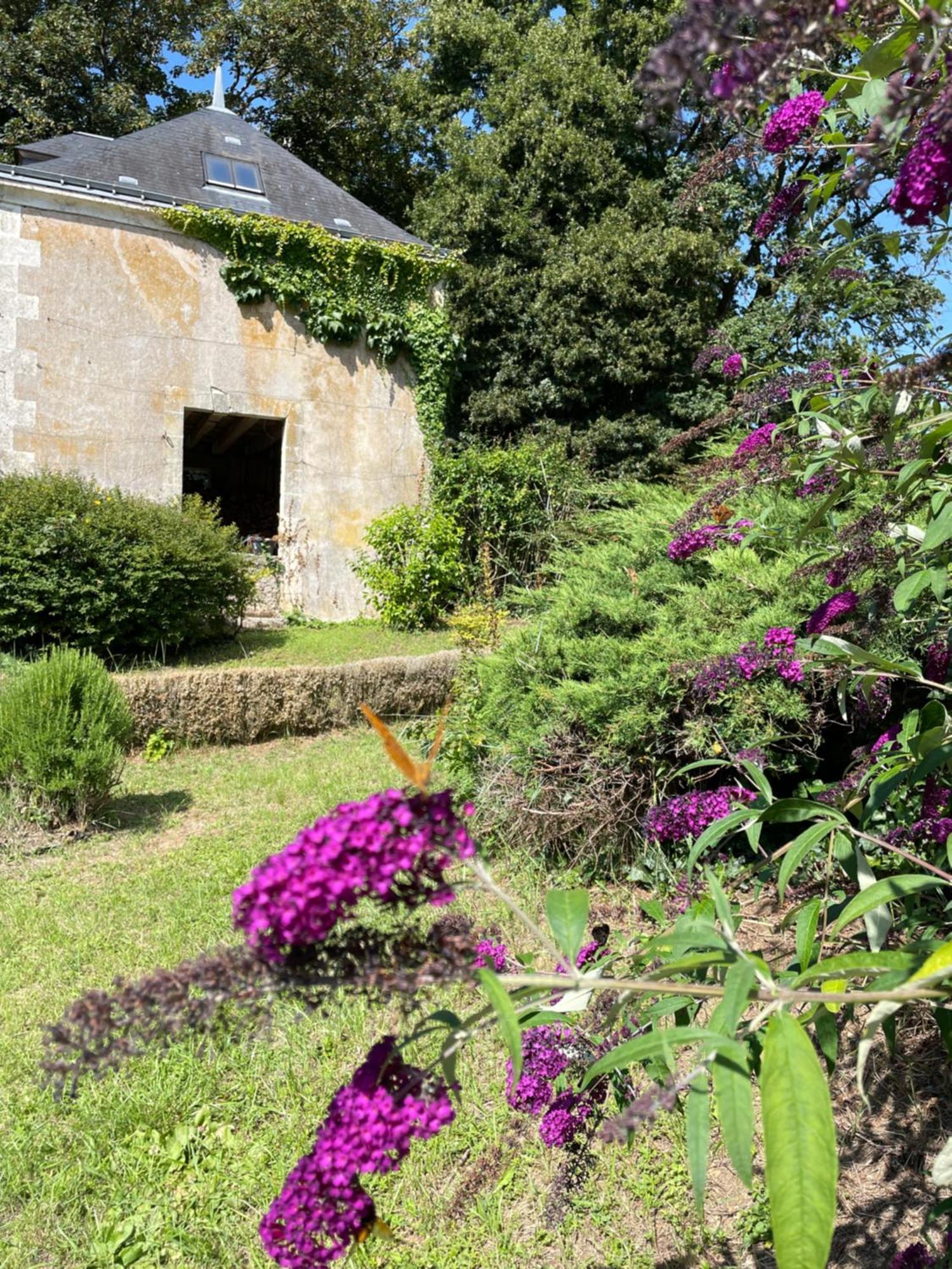 Chateau De La Huberdiere Nazelles-Negron Esterno foto