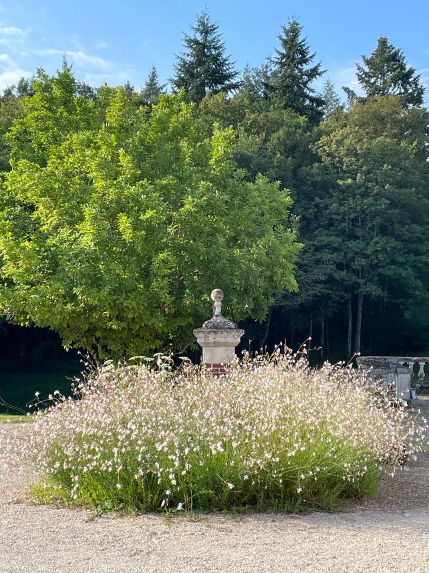 Chateau De La Huberdiere Nazelles-Negron Esterno foto